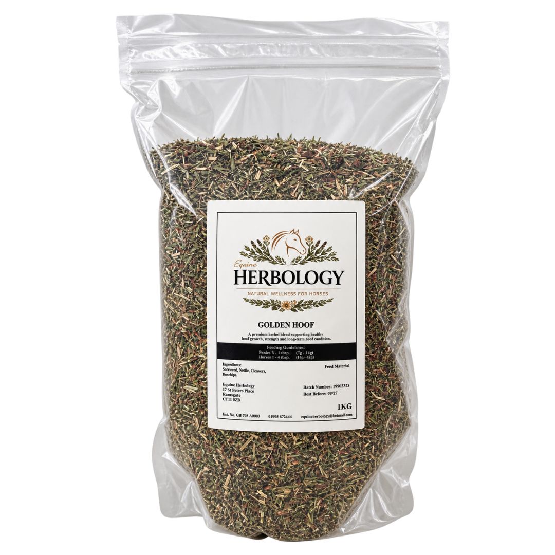 Equine Herbology Golden Hoof