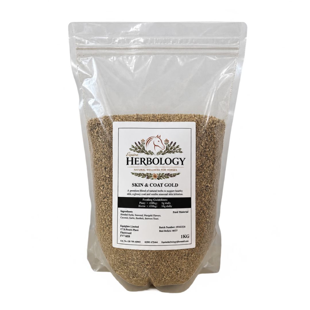 Equine Herbology Skin & Coat Gold