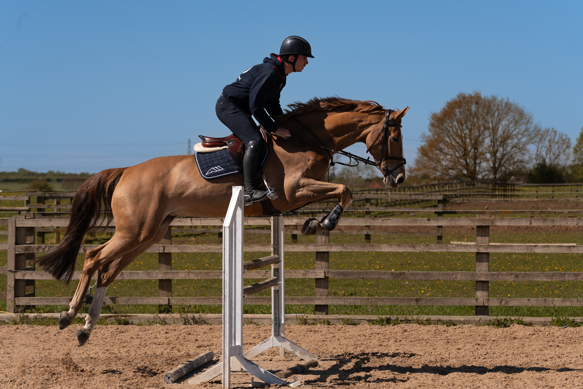 Showjumping horse and rider clearing a fence in a sunlit paddock